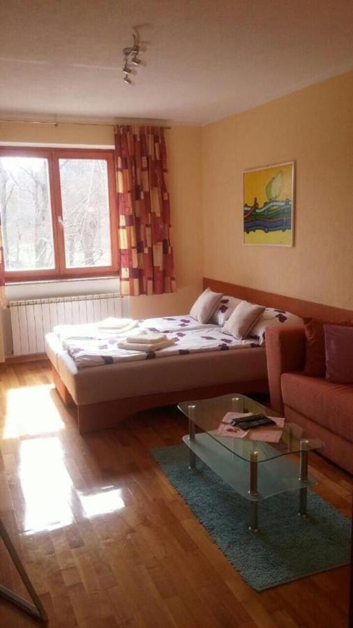 Gaby Apartment-Center Of Plitvická jezera Exteriér fotografie